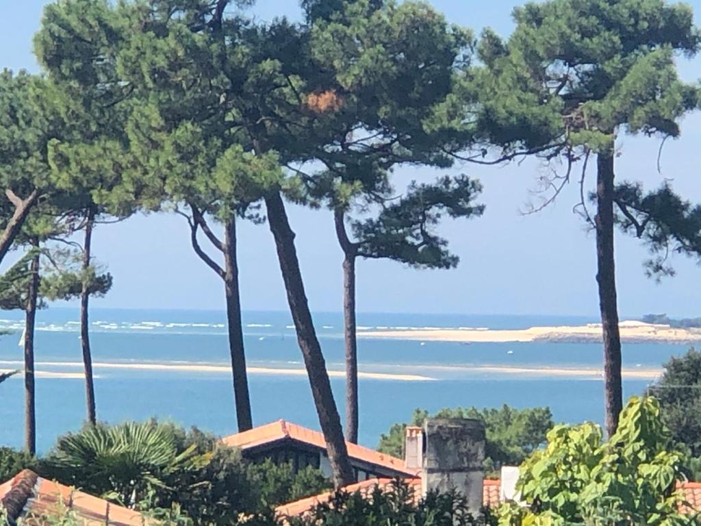 Chambre D'Hotes Pyla Sur Mer La Teste-de-Buch Kültér fotó